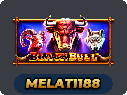Black Bull